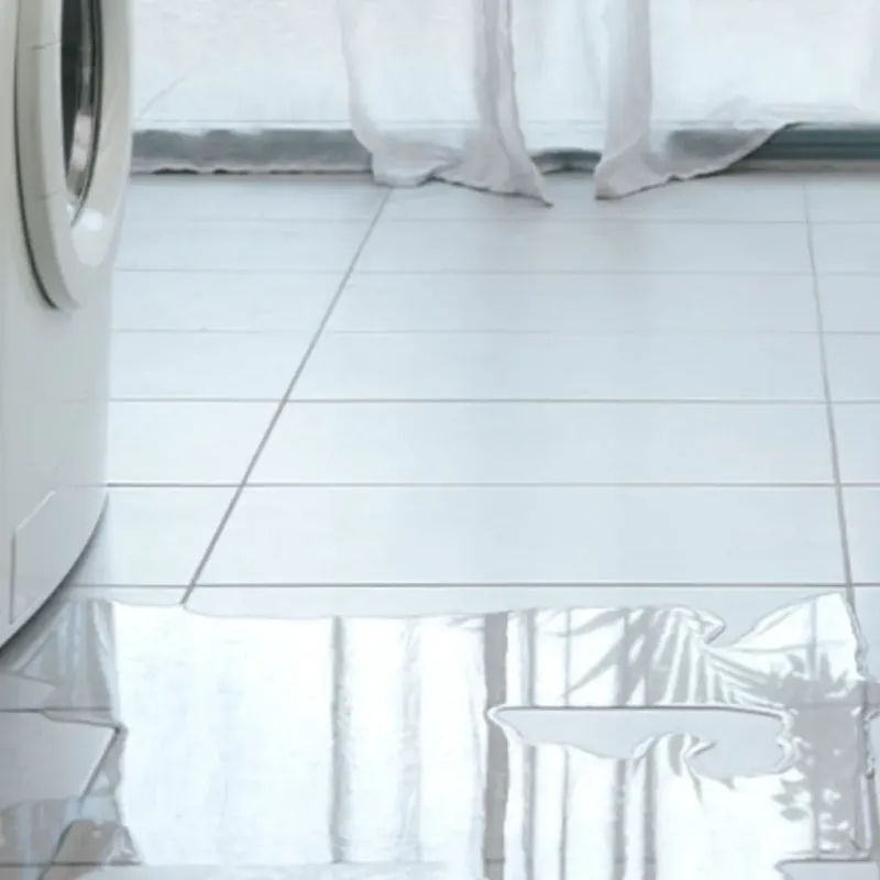 Appliance Leak Cleanup in Eagle Lake, FL