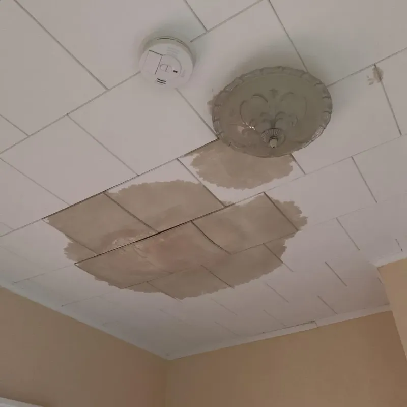 Ceiling Water Damage Repair in Eagle Lake, FL